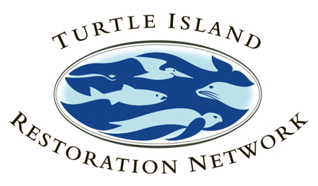 SeaTurtles.org Logo